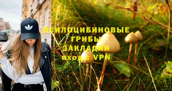 винт Пестово