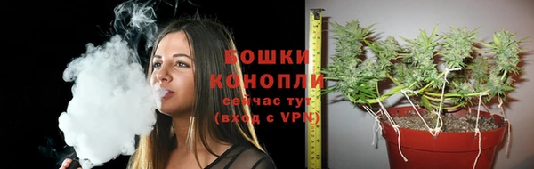 винт Пестово