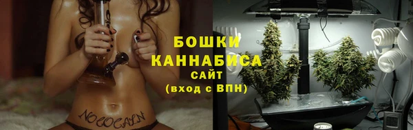 ГАЛЛЮЦИНОГЕННЫЕ ГРИБЫ Переславль-Залесский