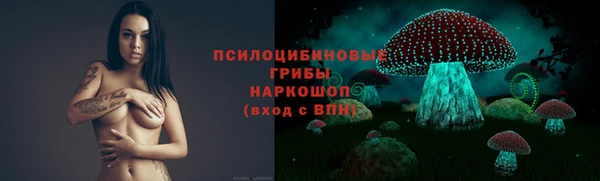 экстази Пересвет
