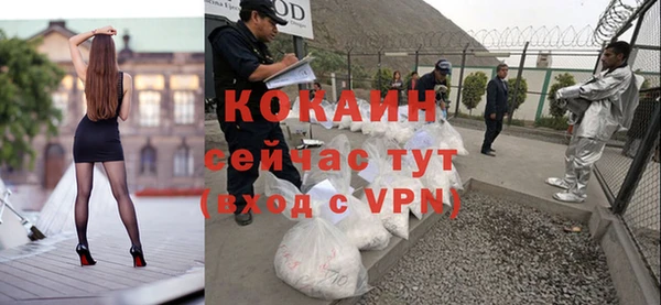 винт Пестово