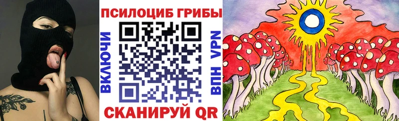 как найти   Аша  Псилоцибиновые грибы Cubensis 