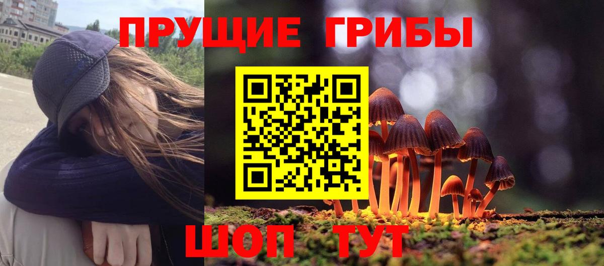 Галлюциногенные грибы мухоморы  Аша  Псилоцибиновые грибы MAGIC MUSHROOMS 