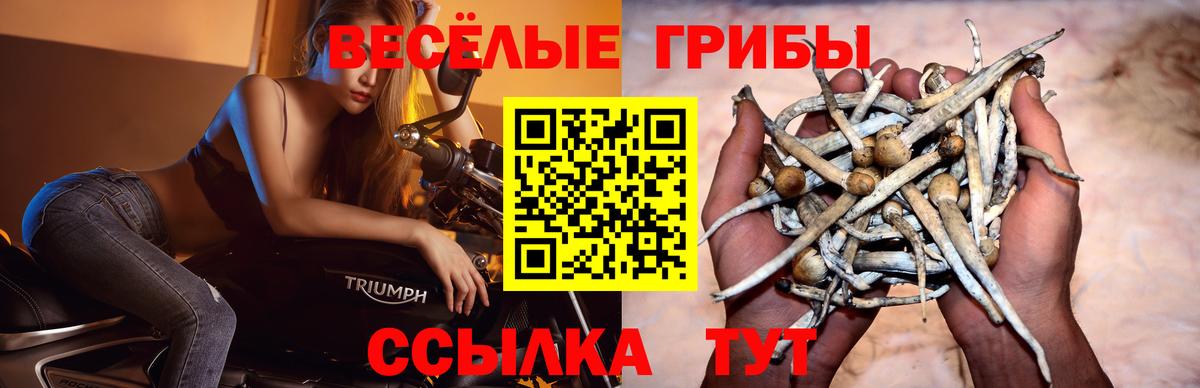 Галлюциногенные грибы прущие грибы Аша