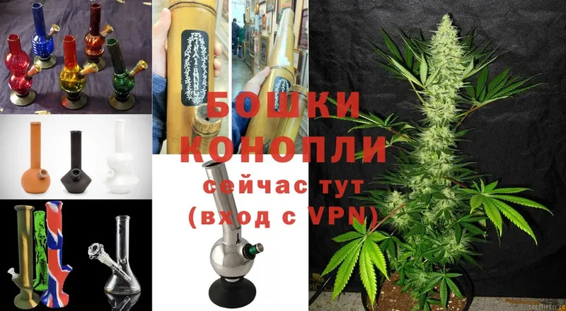 Конопля SATIVA & INDICA  продажа наркотиков  omg ТОР  Аша 